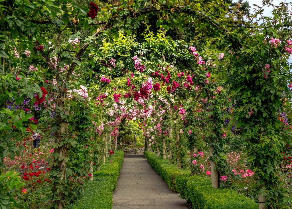 Victoria's Butchart and Butterfly Gardens Excursion: Prof. Cruise ...